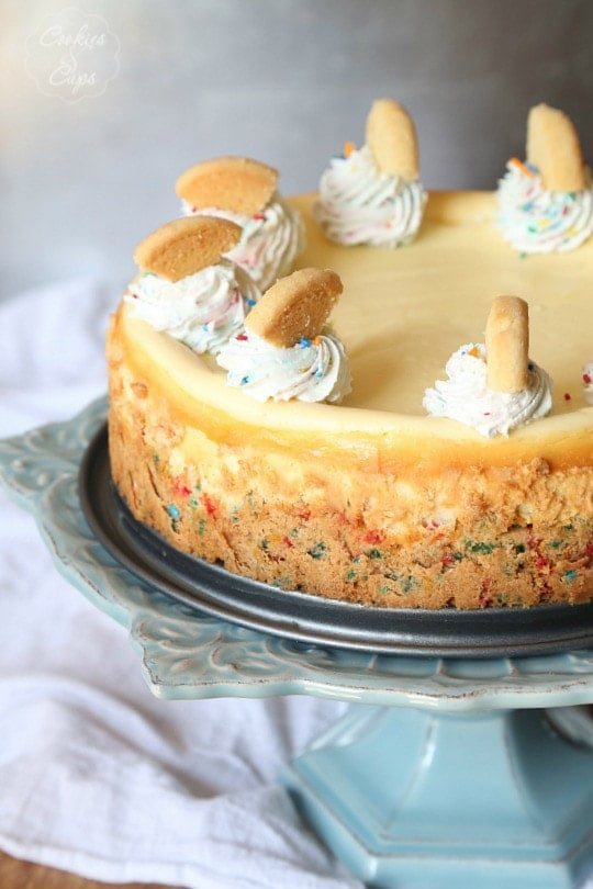 Sugar Cookie Cheesecake...a simple cheesecake with a sprinkle sugar cookie base! Classic at it's best!