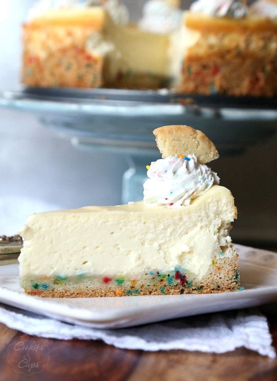 A gorgeous slice of Sugar Cookie Cheesecake...the creamiest cheesecake on top of a sugar cookie crust!