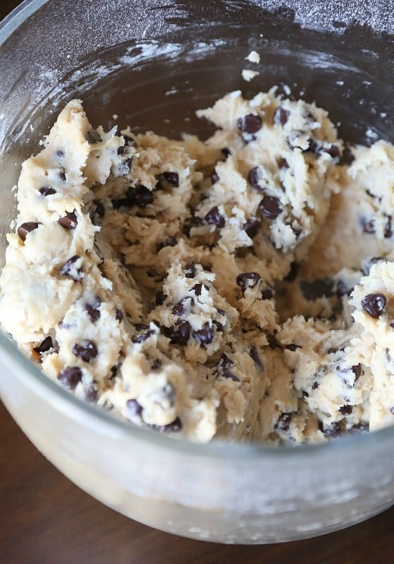 Coconut chocolate chip cookie dough