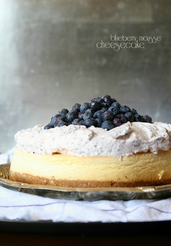 BLueberry Mousse Cheesecake