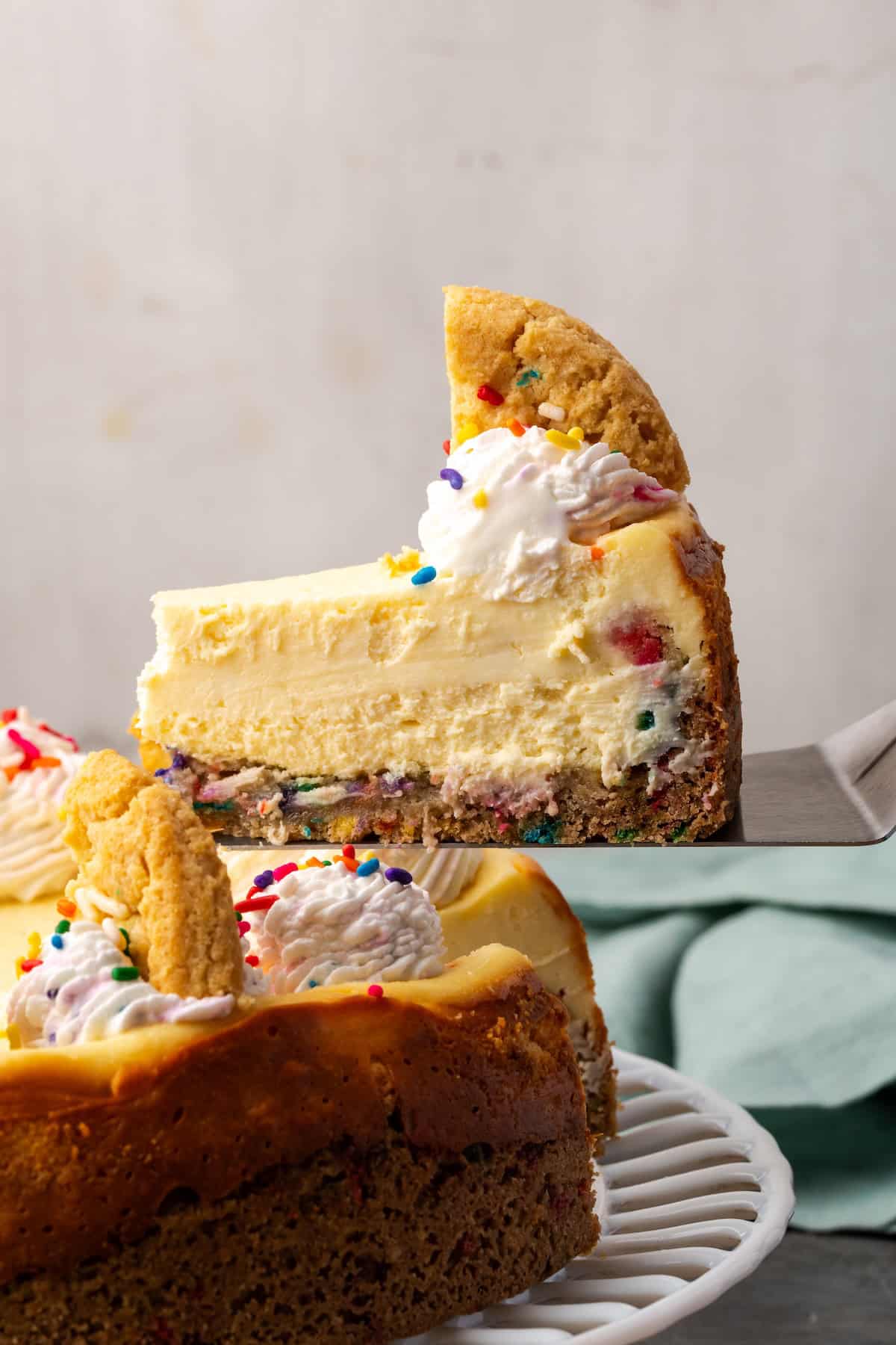 A slice of sugar cookie cheesecake topped with whipped cream and a broken cookie being lifted from the rest of the cheesecake with a cake server.
