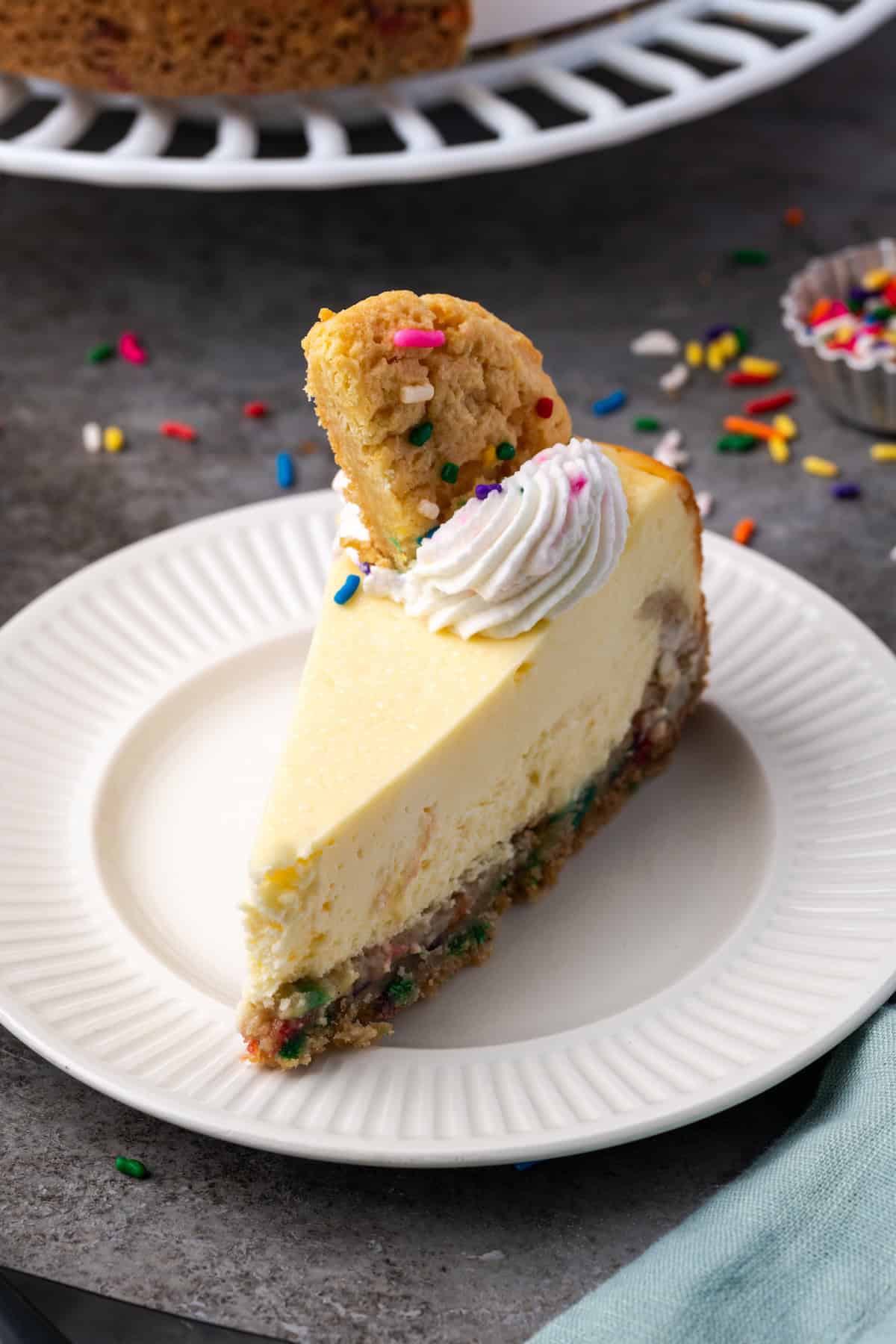 A slice of sugar cookie cheesecake topped with whipped cream and a broken cookie on a white plate, with the rest of the cheesecake in the background.