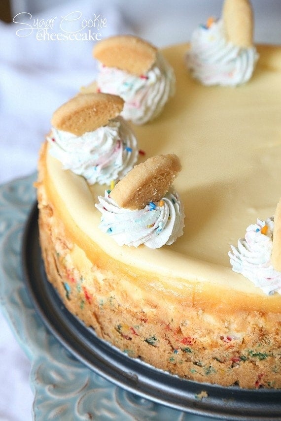 Sugar Cookie Cheesecake...a simple cheesecake with a sprinkle sugar cookie base!