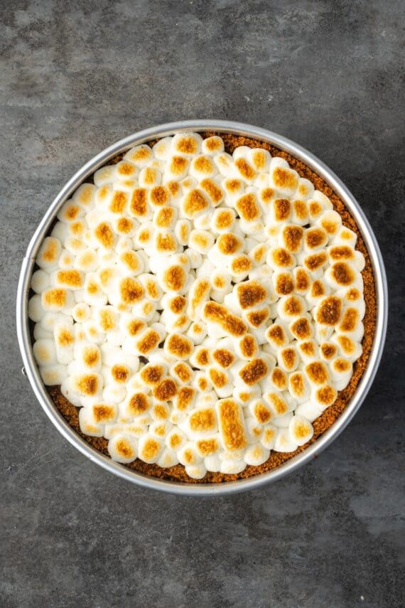 Baked brownie pie topped with toasted mini marshmallows inside a springform pan.