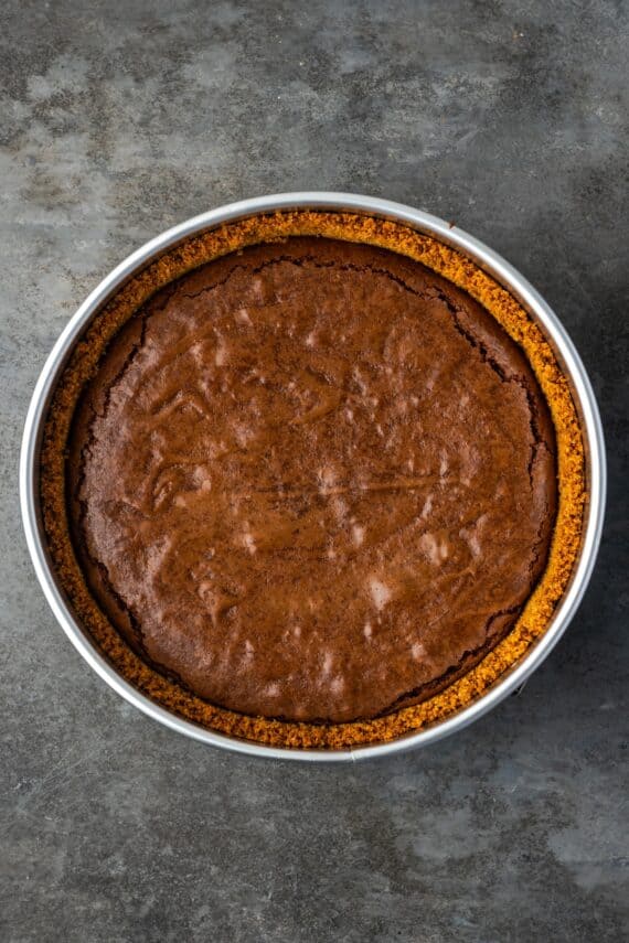 Baked brownie pie inside a springform pan.