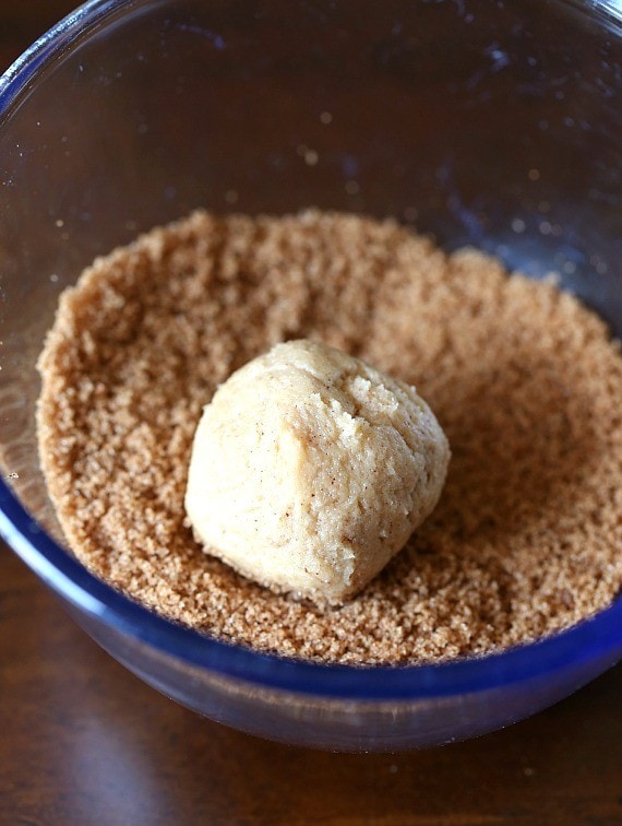 Snickerdoodle cookie dough in a bowl of Pumpkin Pie Spice and Brown Sugar mixture