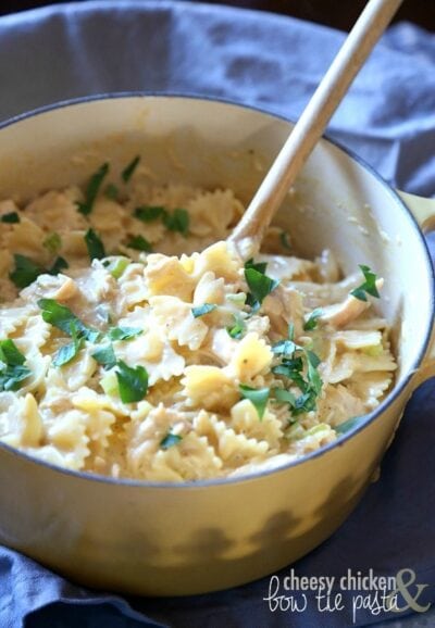 cheesy chicken and bow tie pasta