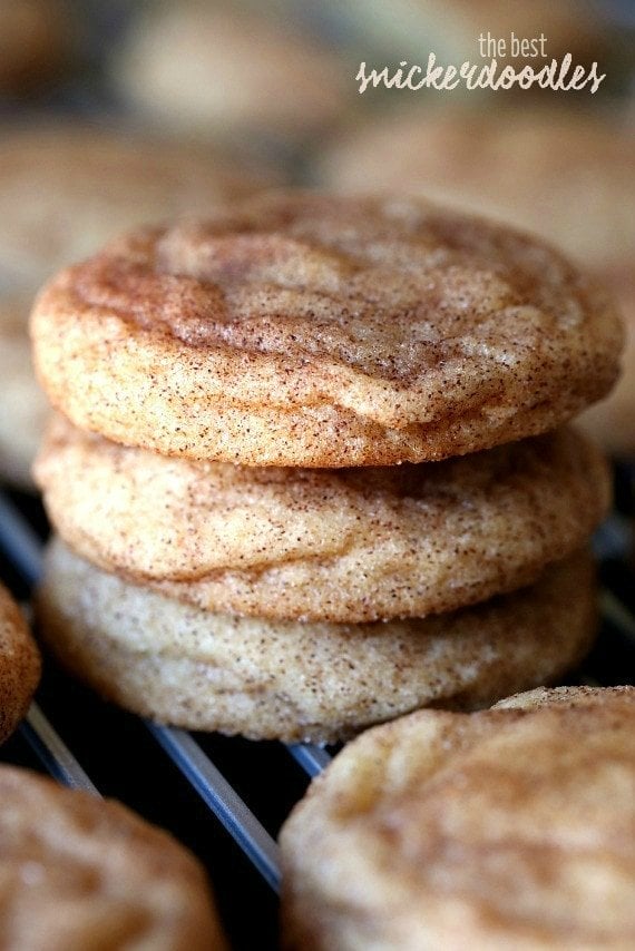 Soft & Chewy Snickerdoodle Cookie Recipe | The BEST Snickerdoodles!