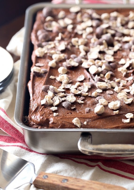 This Chocolate Malt Cake with ULTRA creamy Chocolate Malt Frosting is SO simple and is the softest cake you'll ever have!