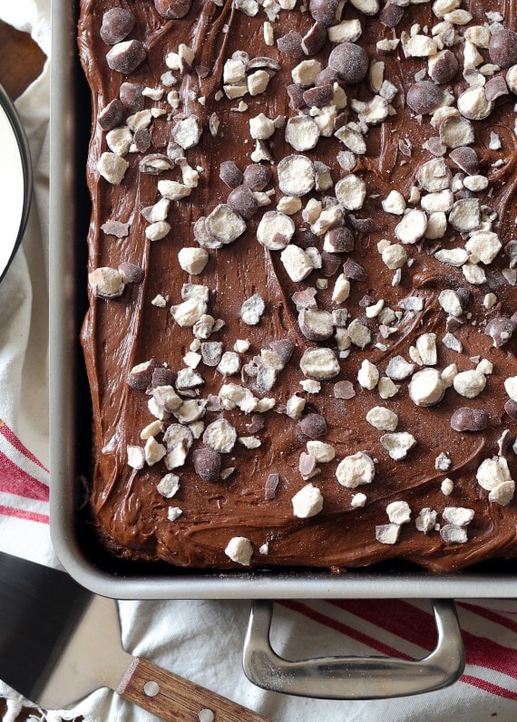 This Chocolate Malt Cake with ULTRA creamy Chocolate Malt Frosting is SO simple and is the softest cake you'll ever have!