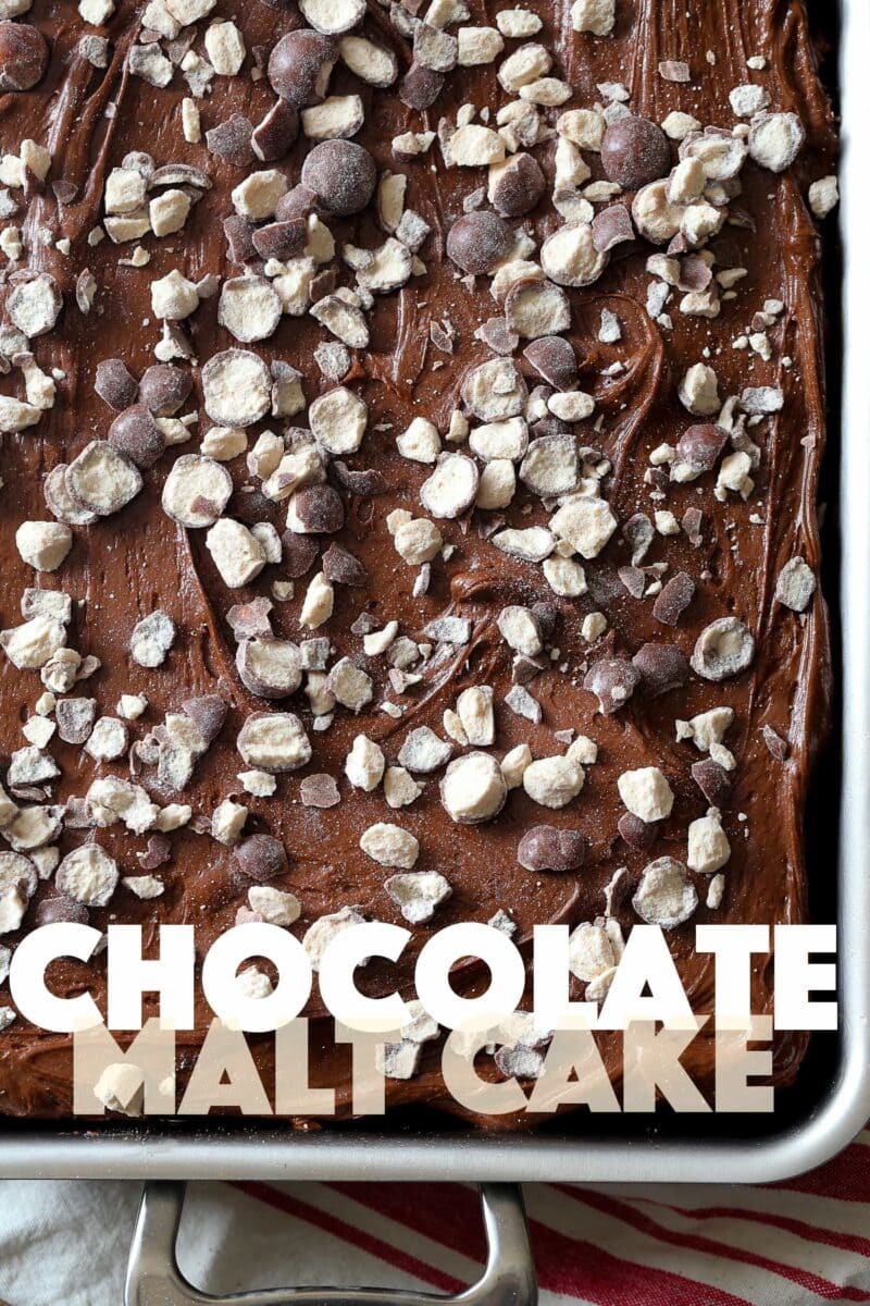 chocolate malt cake with creamy malt frosting