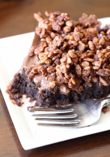 Slice of Nutella cake with Nutella topping and crunch.