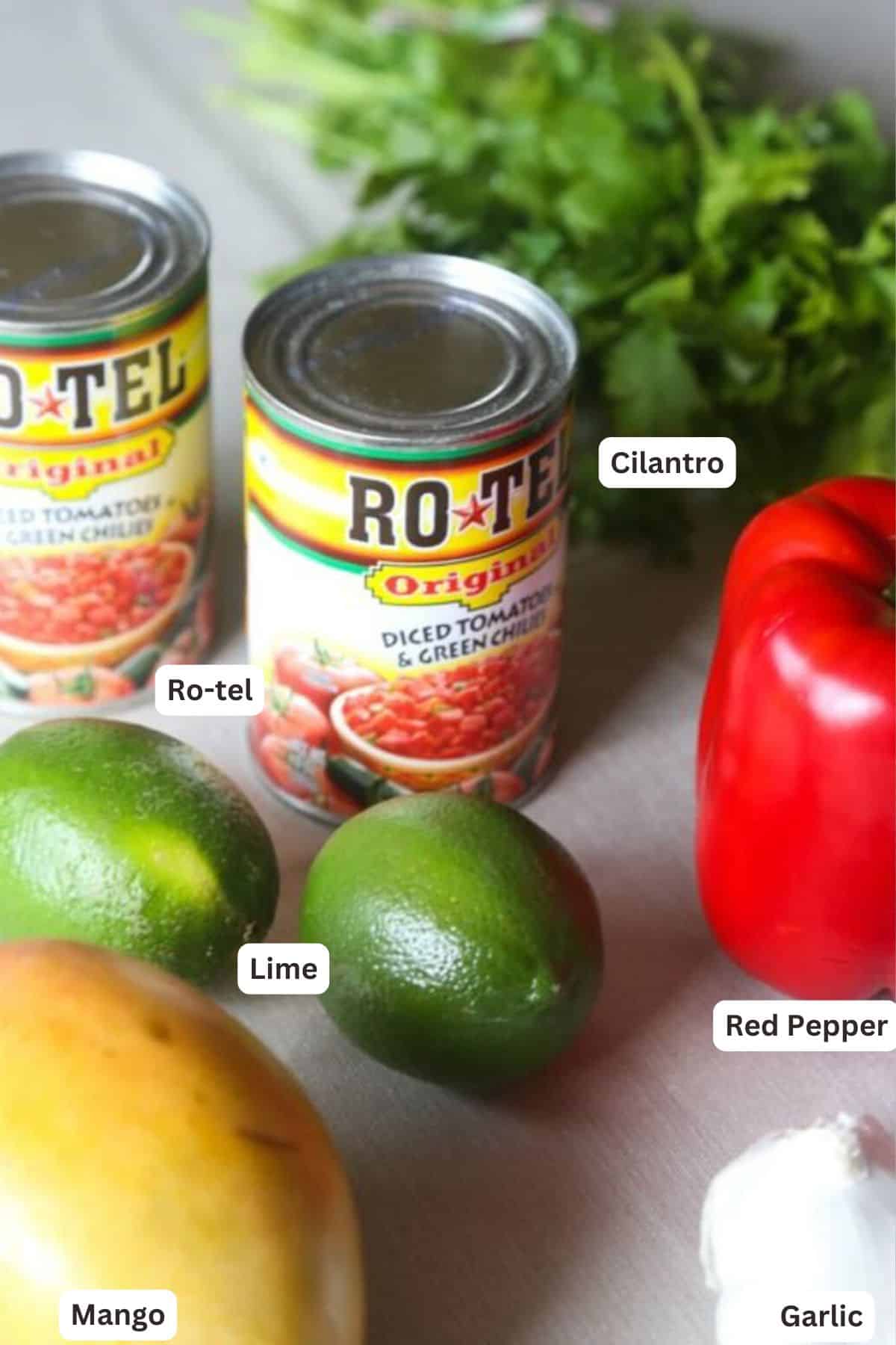 Ingredients for Sweet and Savory Fruit Salsa.