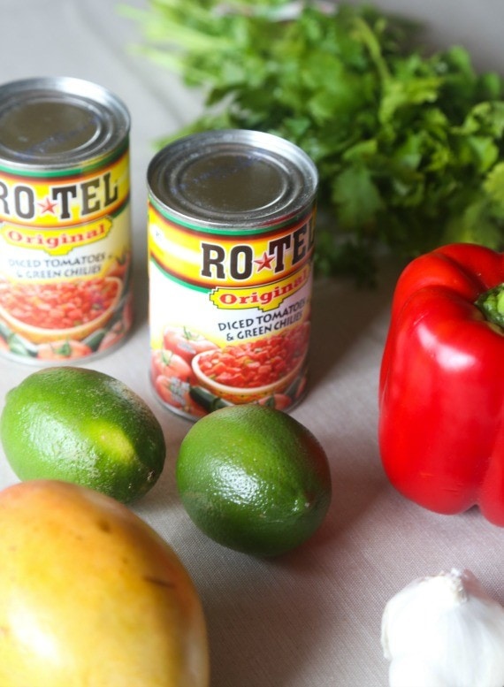 This sweet and savory fruit salsa goes perfect on grilled meat or even eaten with chips!