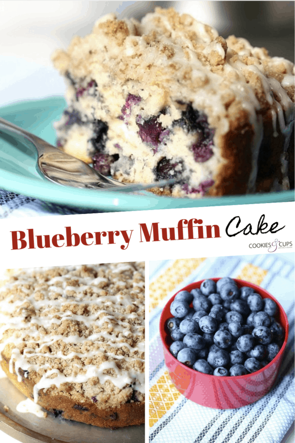 Blueberry Muffin Cake | The Best Blueberry Crumble Cake