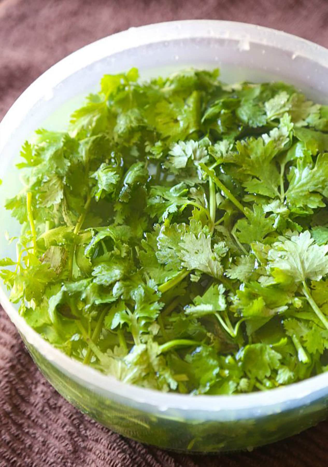 Washed cilantro 