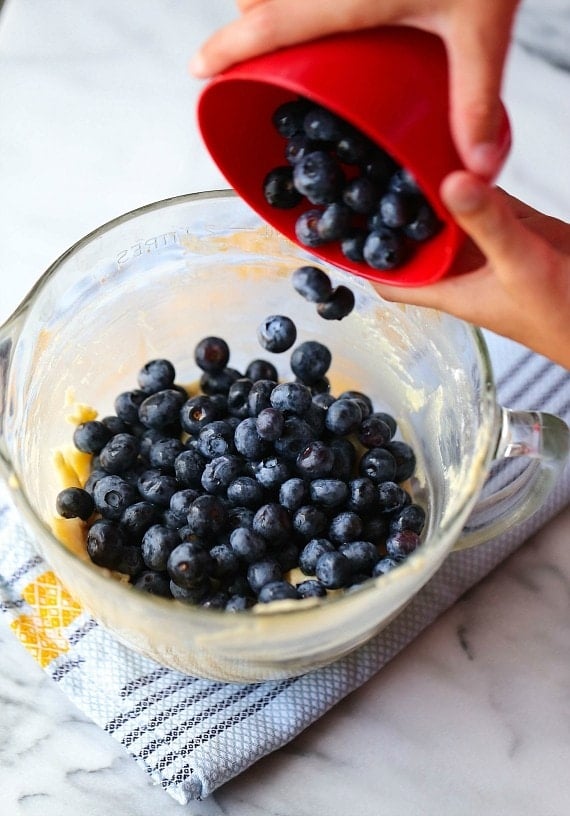 Fresh Blueberries for Blueberry Muffin Cake!