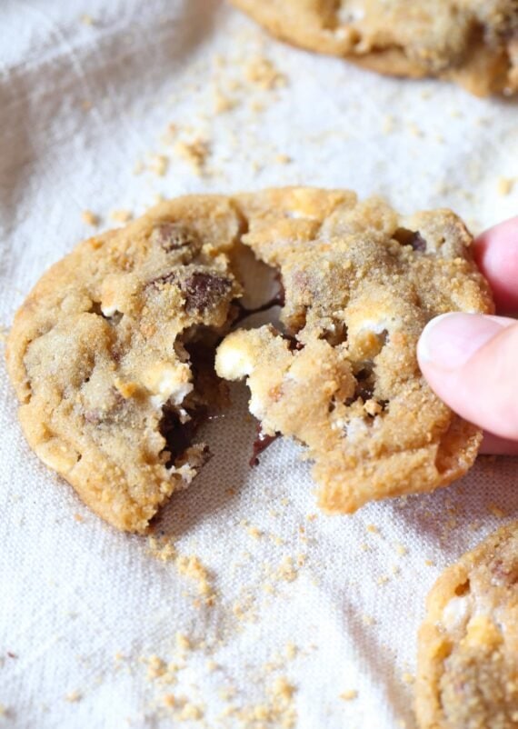 These chewy S'mores cookies are loaded with milk chocolate, mallow bits and coated in graham cracker crumbs making them "Dirty S'mores Cookies"