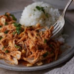 A fork held over a plateful of Thai-style chicken and rice.