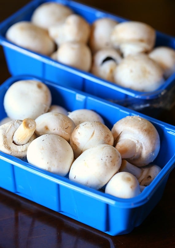 https://cookiesandcups.com/wp-content/uploads/2015/09/mushrooms-570x809.jpg