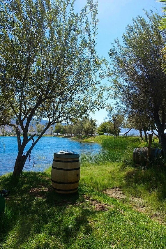 A wine barrel by a tree and a lake outside of Monte Xanic