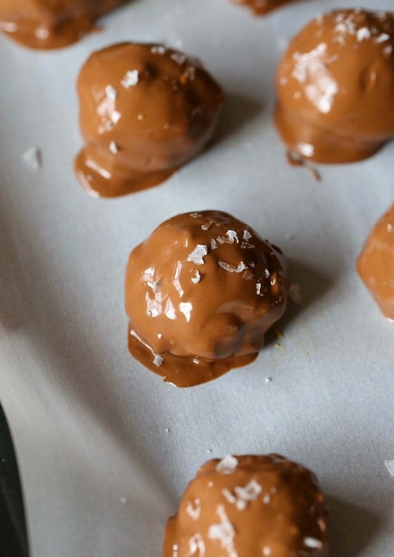 Dipped Salty Peanut Butter S'mores Truffles