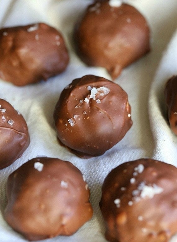 Overhead view of chocolate smores truffles