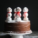 Side view of a snowman cake against a dark background.