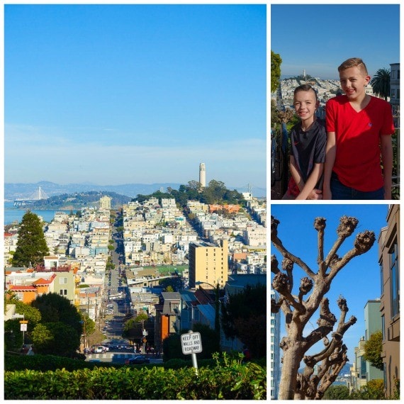 San Francisco view from Lombard Street