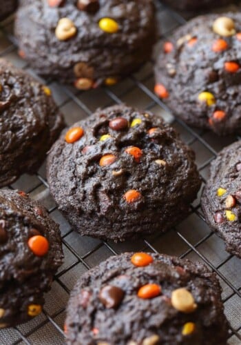 Thick almost brownie-like chocolate cookies loaded with peanut butter chips, Reese's Pieces and Chocolate Chips! Mix and match the add-ins!
