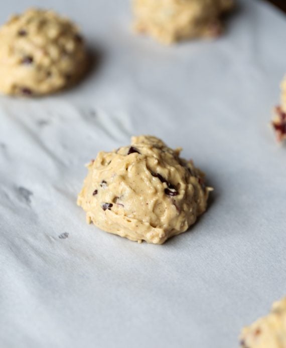 Chocolate Chip Cranberry Oat Cookies