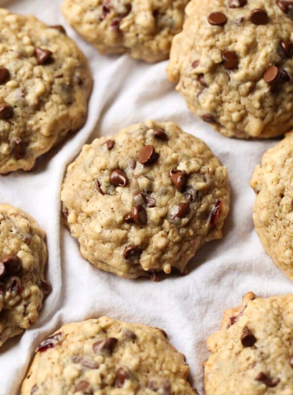 chocolate chip cranberry oat cookies