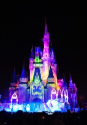Magic Kingdom Castle Disney World