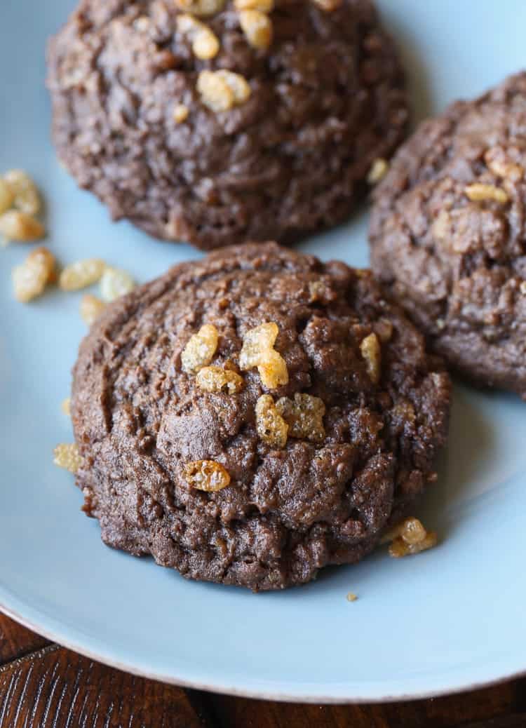 Three Chocolate Crunch Cookies on a Light Blue Dessert Plate