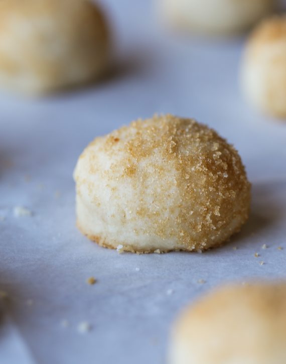 Sand Dollar Cookies! Buttery and sweet with a meltaway texture. Perfect with a cup of coffee!