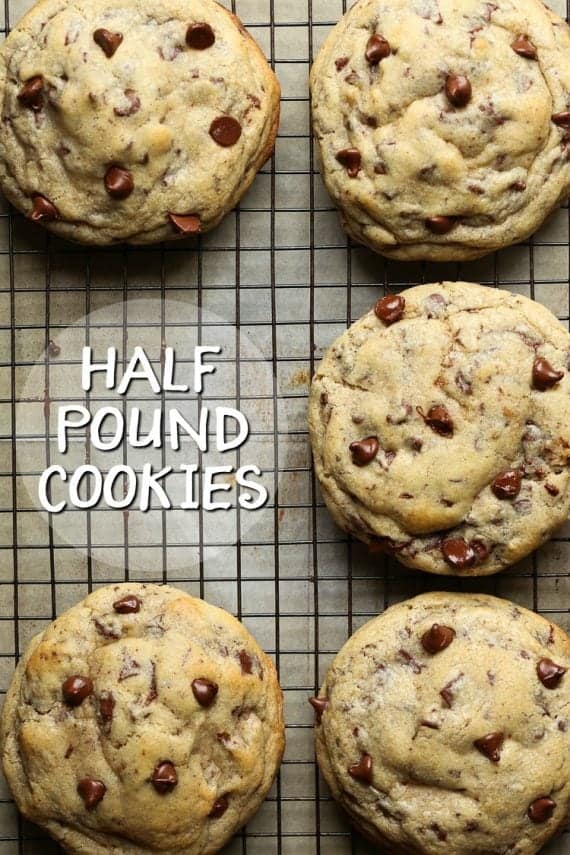 Half Pound Chocolate Chip Cookies! These are a perfect special treat to share, or a great bake sale cookie!