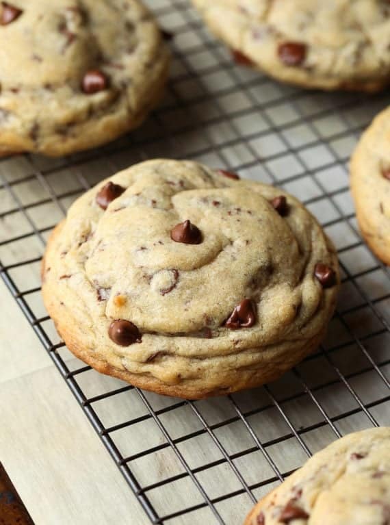 Half Pound Chocolate Chip Cookies! These are a perfect special treat to share, or a great bake sale cookie!