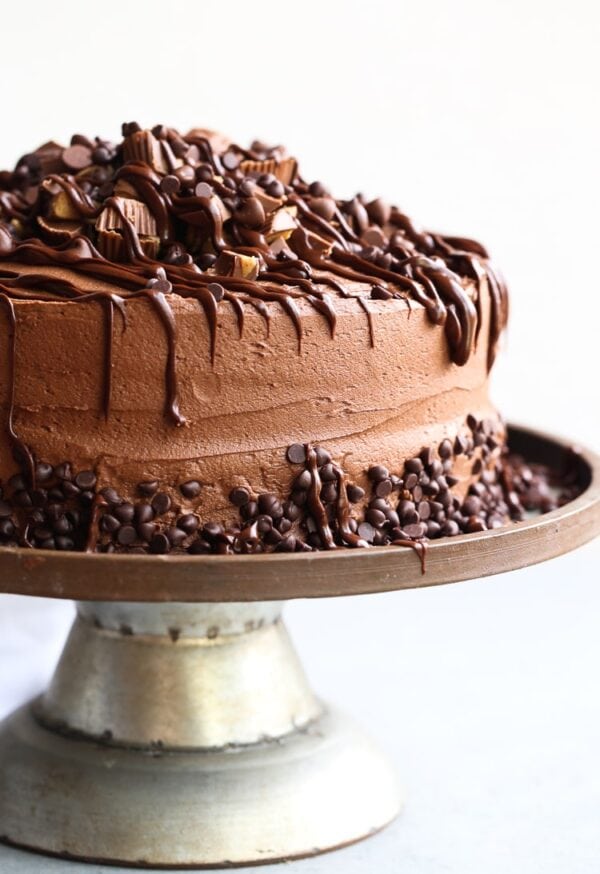 Insane Peanut Butter Cup Cake | A Chocolate Cake Recipe With Frosting