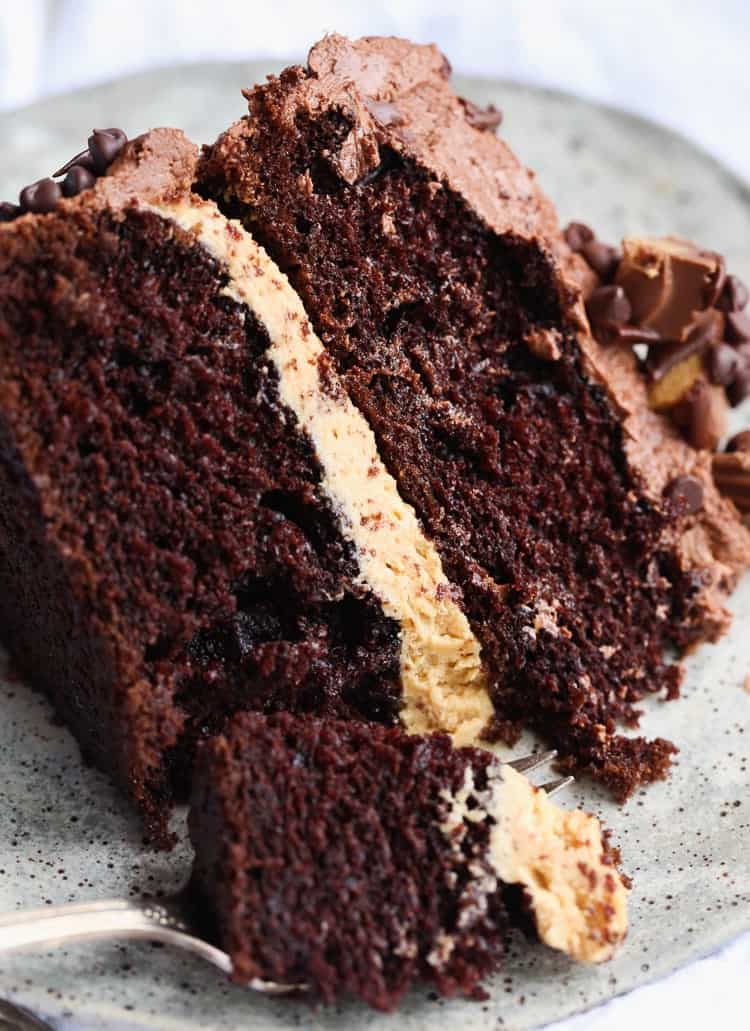 Insane Peanut Butter Cup Cake A Chocolate Cake Recipe With Frosting
