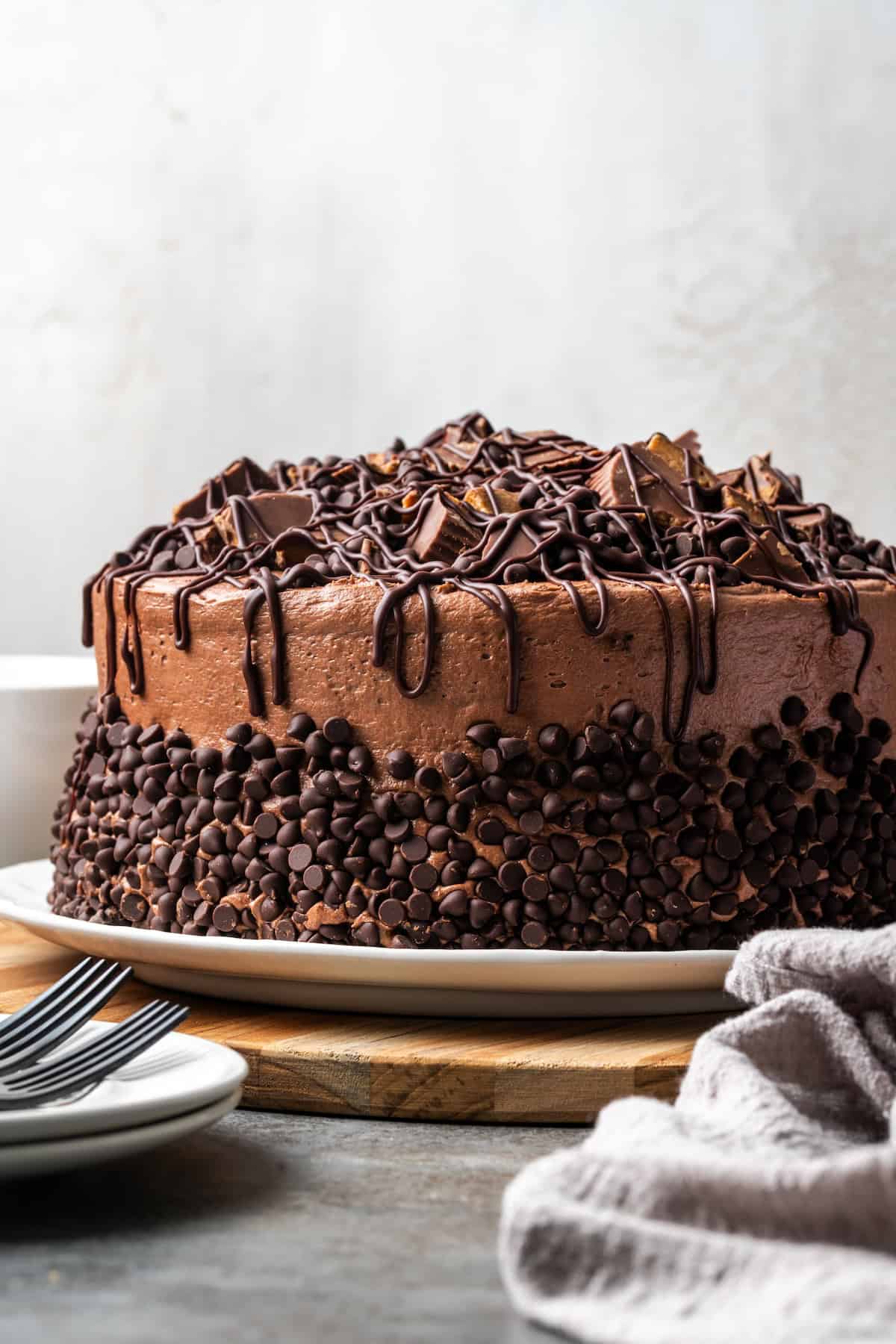 Side view of a frosted Reese's cake topped with chocolate ganache drizzled over a garnish of peanut butter cups.
