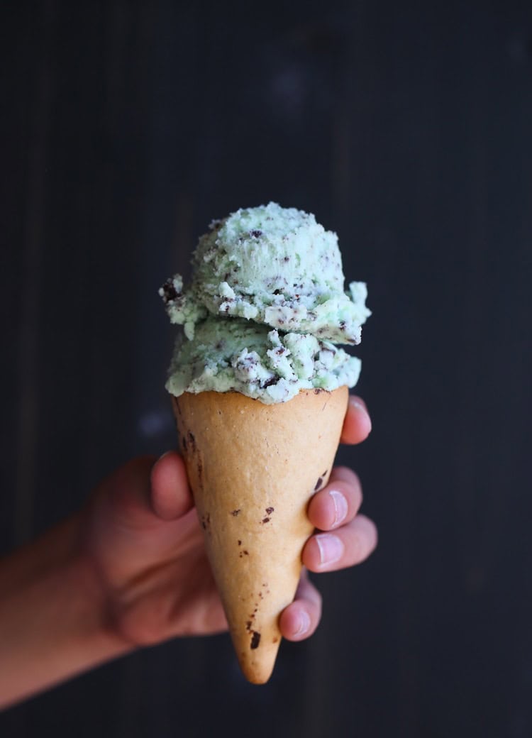 Homemade Mint Chocolate Chip Frosting Cupcake/Cake Frosting Recipe