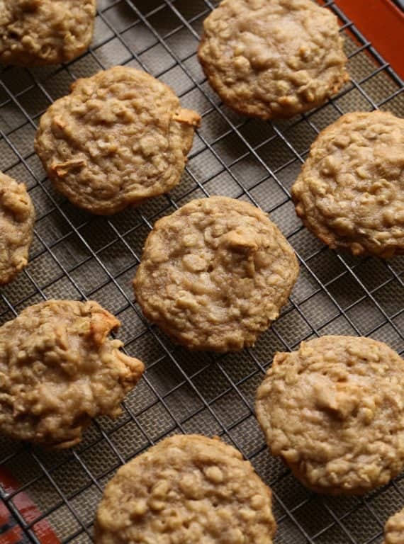 Caramel Apple Oatmeal Cookies! These are chewy, sweet and prefect for the fall season!