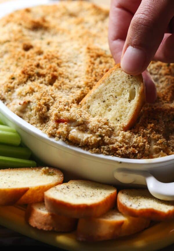 Crab Cake Dip Recipe | An Easy and Delicious Appetizer Recipe