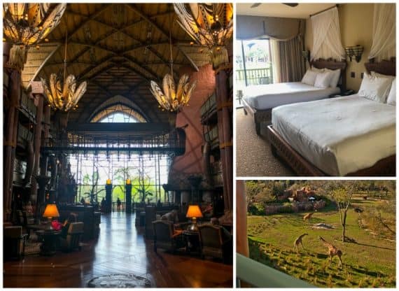 Animal Kingdom Lodge Jambo House