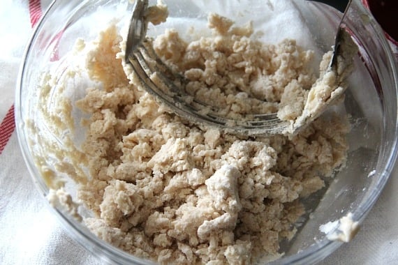 Crumbly crust dough in a bowl with a pastry blender