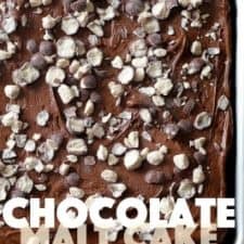 Chocolate Malt Cake with Malt Frosting