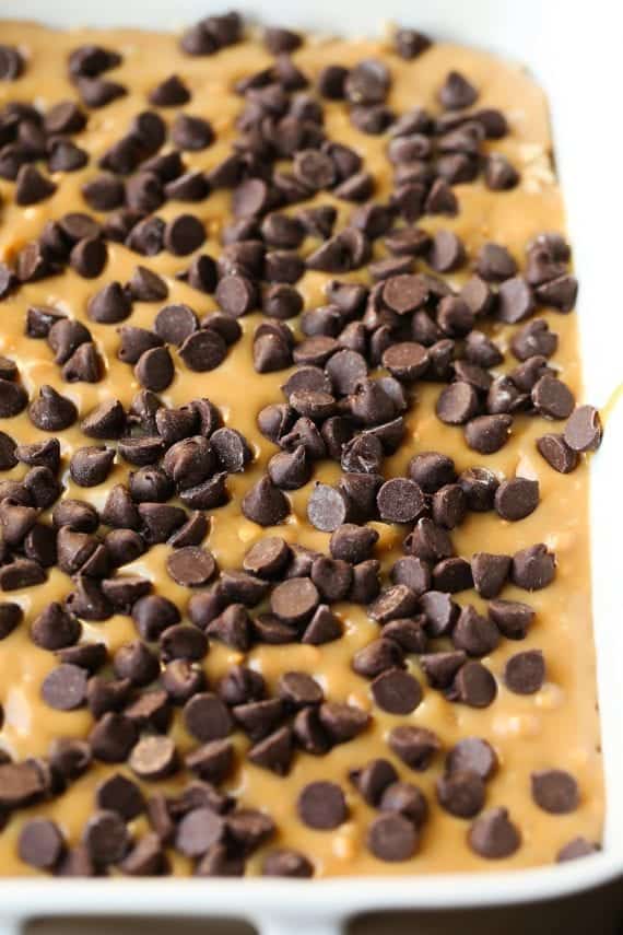 Peanut Butter Passion Bars... a buttery oat bar with a sweet peanut butter caramel filling topped with chocolate chips and more crumble!