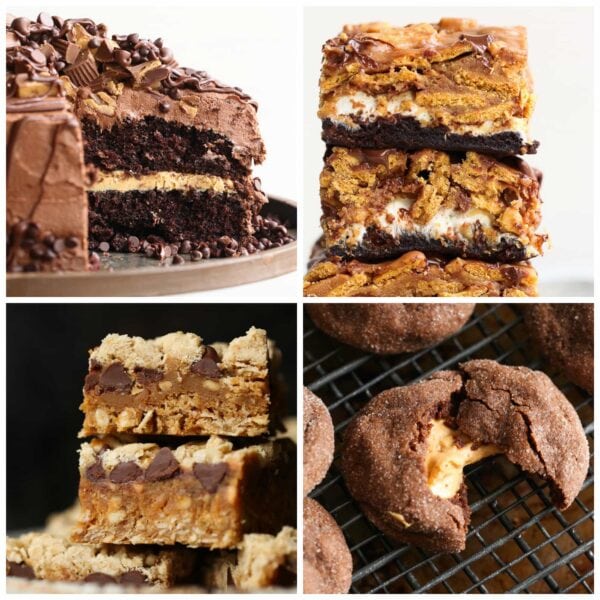 20 Amazing Peanut Butter Dessert Recipes Cookies & Cups