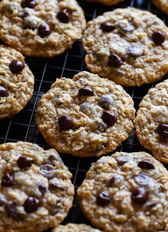 Malted Oatmeal Chocolate Chip Cookies