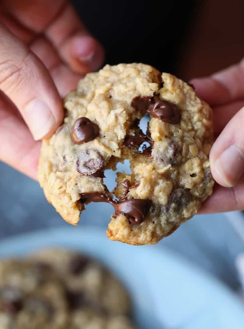 malted oatmeal chocolate chip cookies